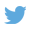 twitter-icon twitter-icon