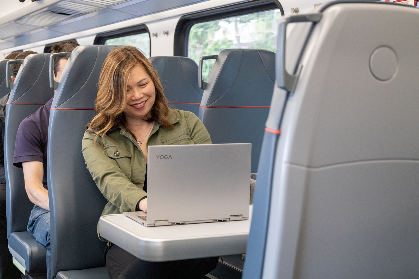 Commuter on the train