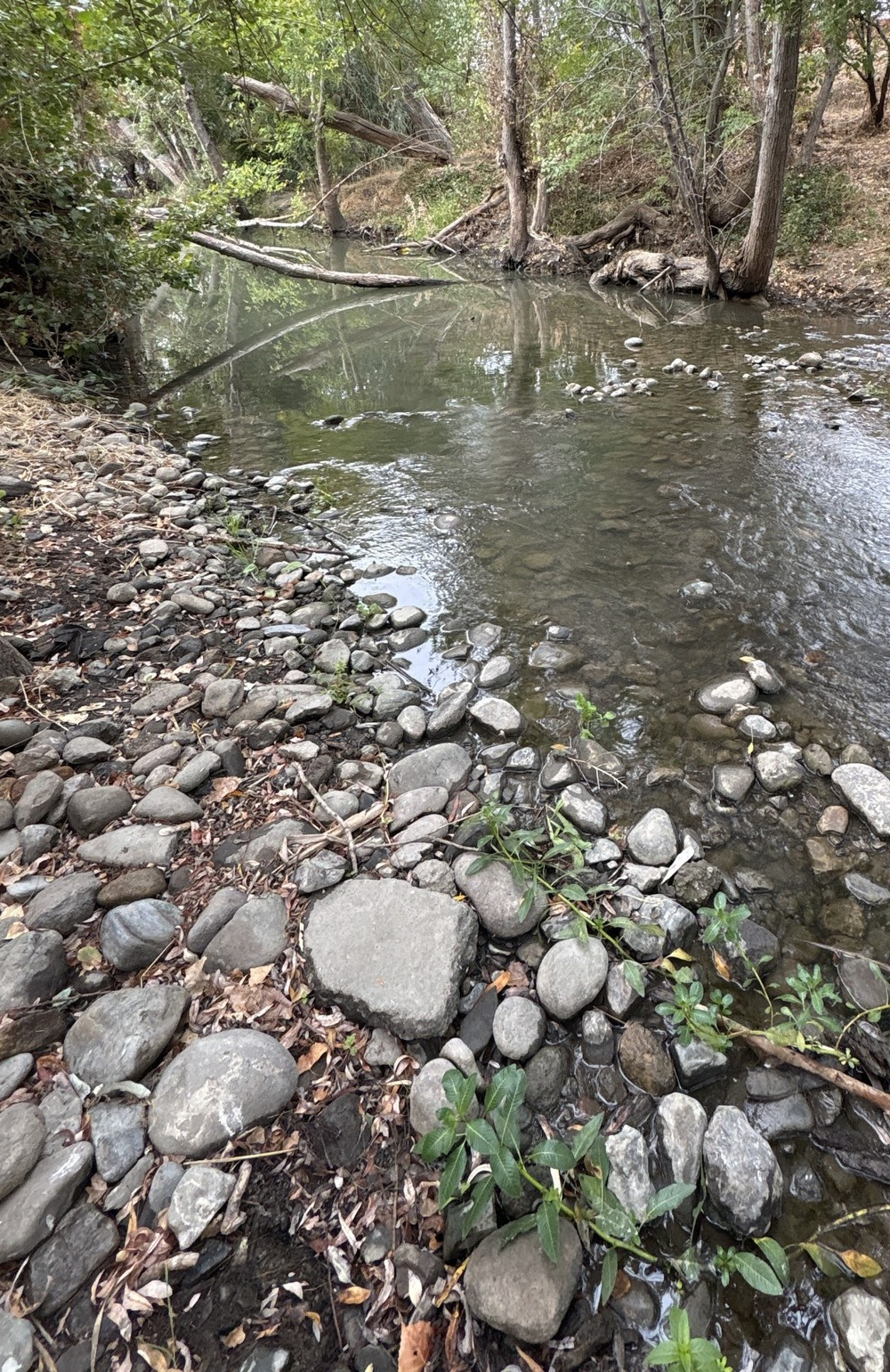 The Guadalupe River after having been protected by Caltrain