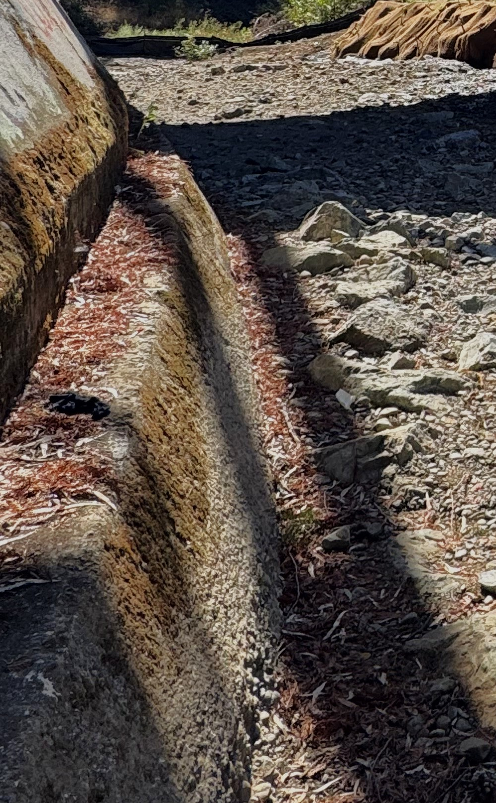 The restored banks of San Francisquito Creek