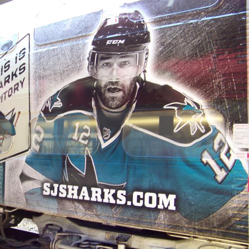 Sharks Train Wrap