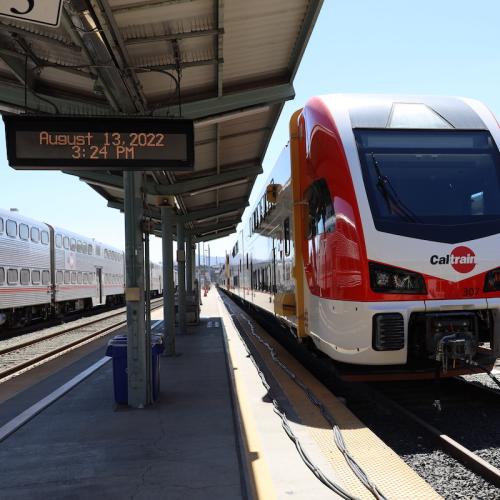 Emu at SF