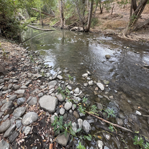 The Guadalupe River after having been protected by Caltrain