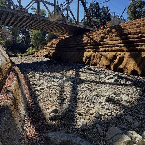 The restored banks of San Francisquito Creek