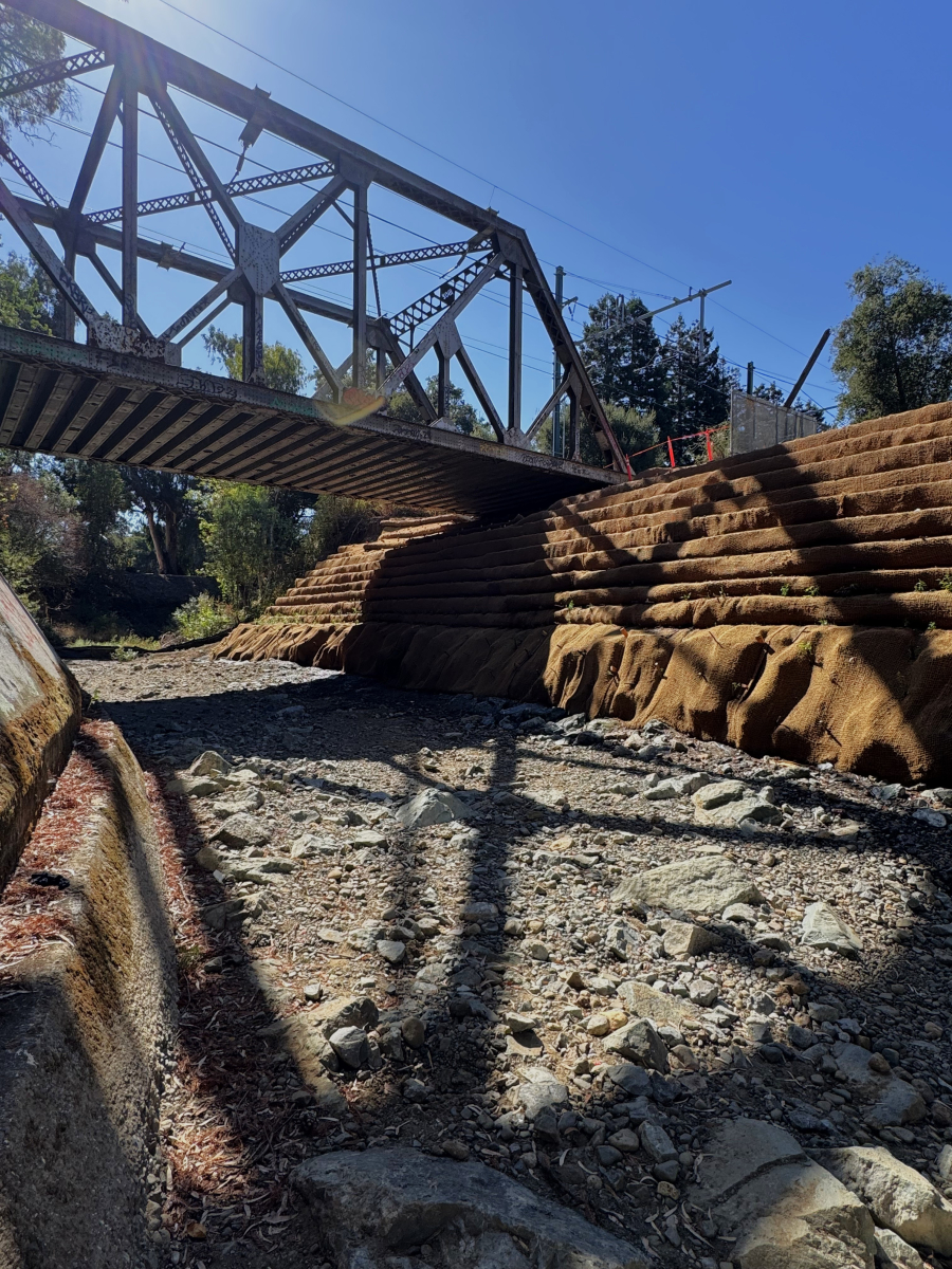 The restored banks of San Francisquito Creek
