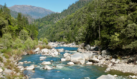Plumas National Forest